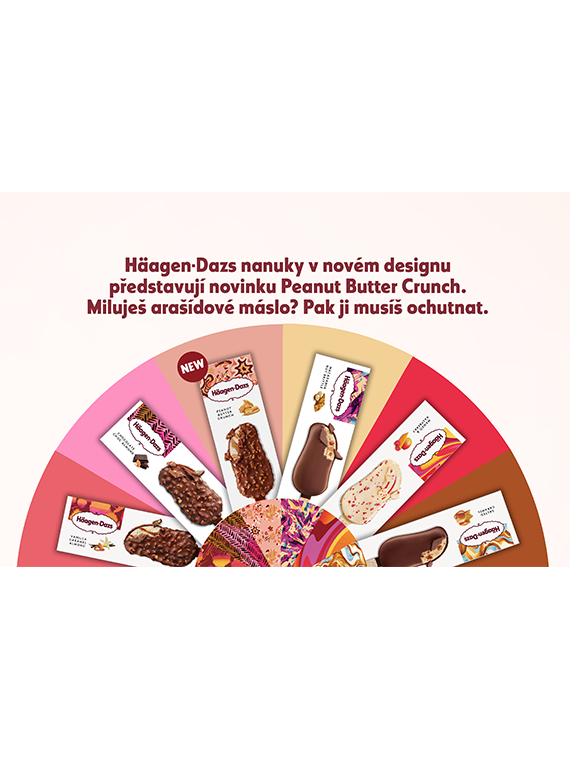 Czech banner image